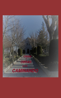 Caminando entre obras y crisis