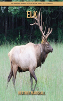 Elk