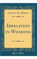 Irrigation in Wyoming (Classic Reprint)