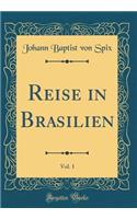 Reise in Brasilien, Vol. 1 (Classic Reprint)