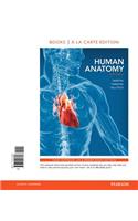 Human Anatomy