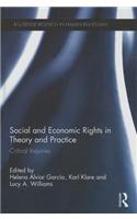 Social and Economic Rights in Theory and Practice