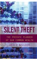 Silent Theft