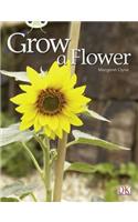 Bug Club Independent Non Fiction Reception Red C Grow a Flower
