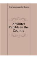 A Winter Ramble in the Country