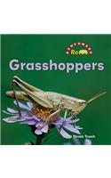 Grasshoppers