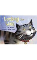 Looking for Luna