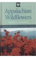 Appalachian Wildflowers