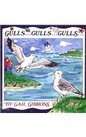 Gulls...Gulls...Gulls...