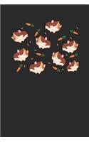 Guinea Pig Pattern
