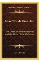 More Worlds Than One