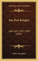 Aus Drei Kriegen: 1866-1871, 1877-1878 (1904)