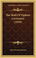 The Skull Of Ziphius Cavirostris (1918)