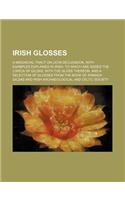 Irish Glosses; A Mediaeval Tract on Latin Declension, with Examples Explained in Irish. to Which Are Added the Lorica of Gildas, with the Gloss Thereon, and a Selection of Glosses from the Book of Armagh