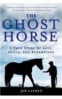 The Ghost Horse