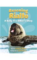 Rescuing Rialto: A Baby Sea Otter's Story