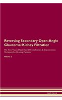 Reversing Secondary Open-Angle Glaucoma: Kidney Filtration The Raw Vegan Plant-Based Detoxification & Regeneration Workbook for Healing Patients. Volume 5