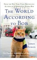 The World According To Bob