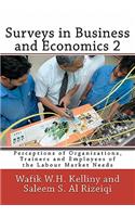Surveys in Business and Economics 2