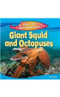 Giant Squid and Octopuses