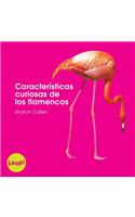 Características Curiosas de Los Flamencos