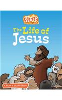 Life of Jesus: A Play and Learn Book