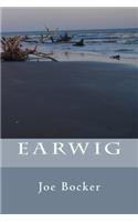 Earwig