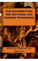 Zur Aufarbeitung des Ost-Punk und anderer Phänomene