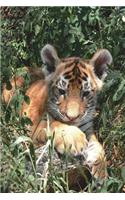 Tiger Cub in the Grass Journal: 150 page lined notebook/diary