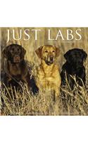 Just Labs 2019 Wall Calendar (Dog Breed Calendar)