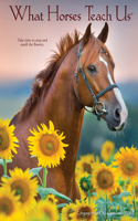 What Horses Teach Us 2021 Engagement Calendar