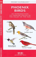 San Diego Birds: A Folding Pocket Guide to Familiar Species(Pocket Naturalist Guide Series)
