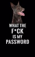What The F*CK Is My Password, Kelpie: Password Book Log & Internet Password Organizer, Alphabetical Password Book, password book Kelpie and Notebook, book with Kelpie, 120 Pages 6 x 9 in
