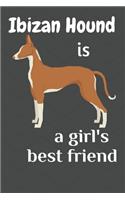 Ibizan Hound is a girl's best friend