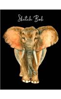 Sketch Book