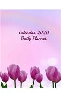 Calendar 2020 Daily Planner: A Monthly Planner for 2020 8.5x11 90 page