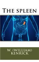 The spleen