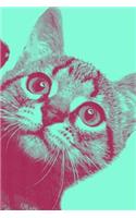 Notebook: Domestic Shorthair Alley Cat (Blue)