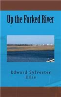 Up the Forked River