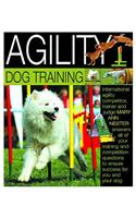 Agility Dog Training
