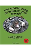 The Adventures of Bentley, Otto and Bob