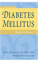 Diabetes Mellitus -- Spanish Edition