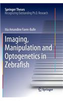 Imaging, Manipulation and Optogenetics in Zebrafish