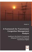 Framework for Transmission Congestion Management Analysis