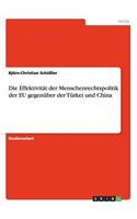 Effektivität der Menschenrechtspolitik der EU gegenüber der Türkei und China