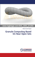 Granule Computing Based On Near Open Sets