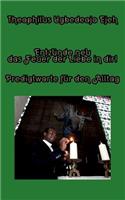 Entzünde neu das Feuer der Liebe in dir!: Predigtworte für den Alltag(German)