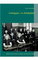 Ludvigsgave - en Arbejdsplads