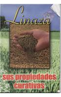 Linaza Sus Propiedades Curativas