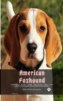 American Foxhound